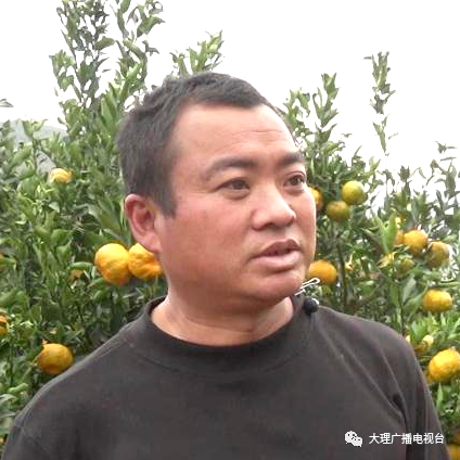 大理电视台