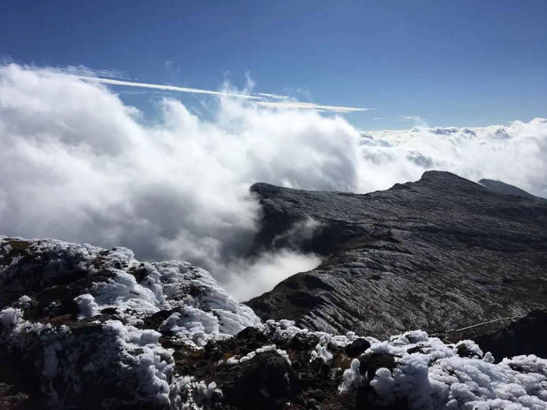 昆明轿子山旅游