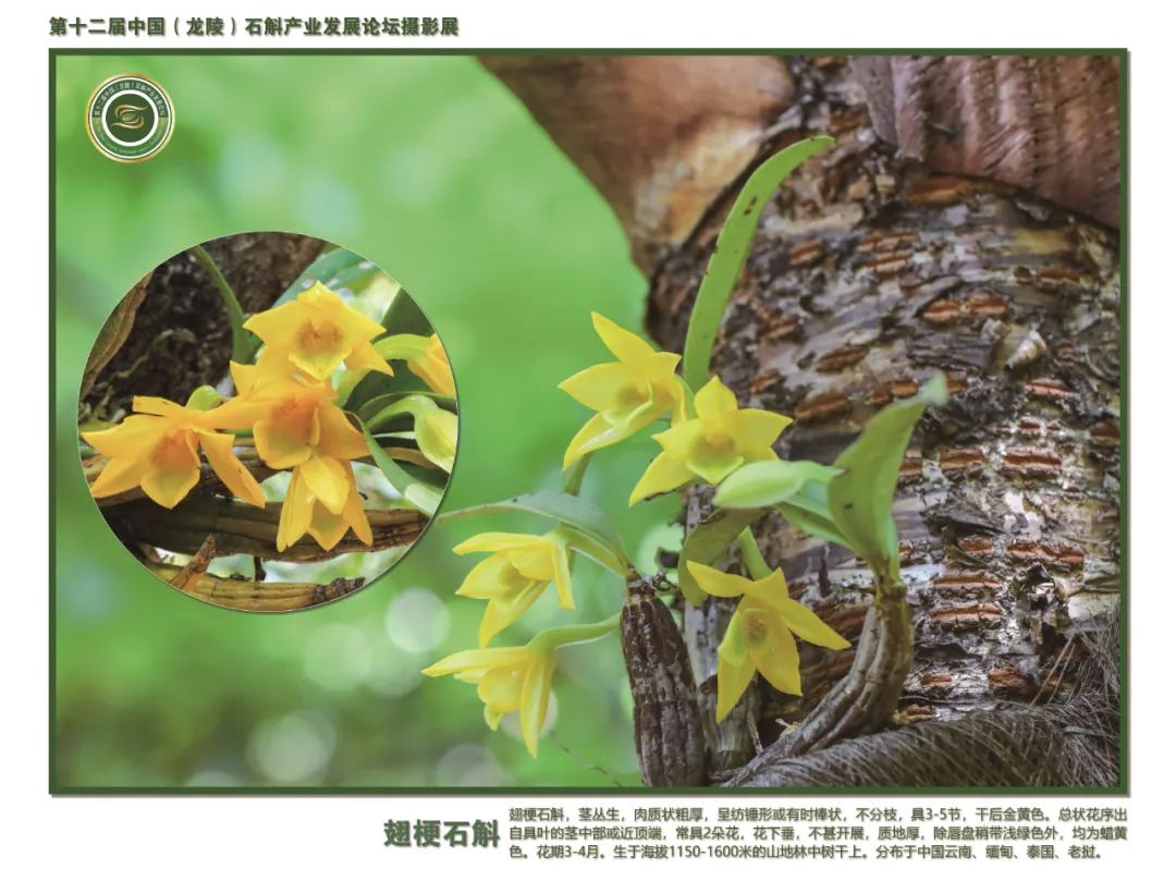 保山广播电视台