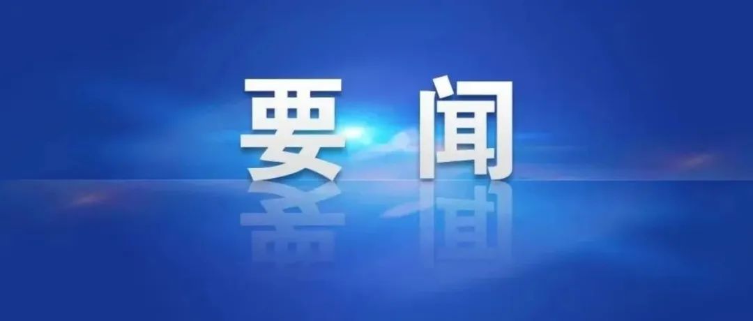 微观盘龙