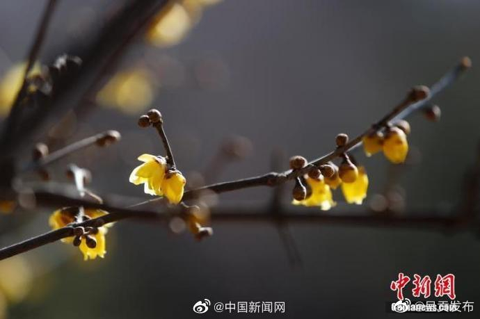 呈贡发布