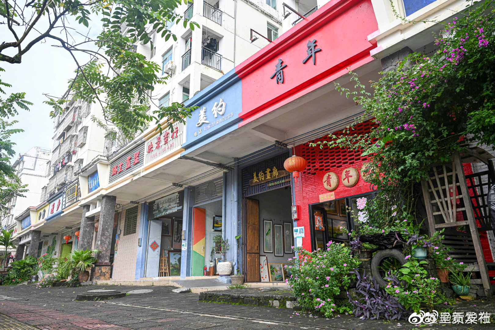 呈贡发布