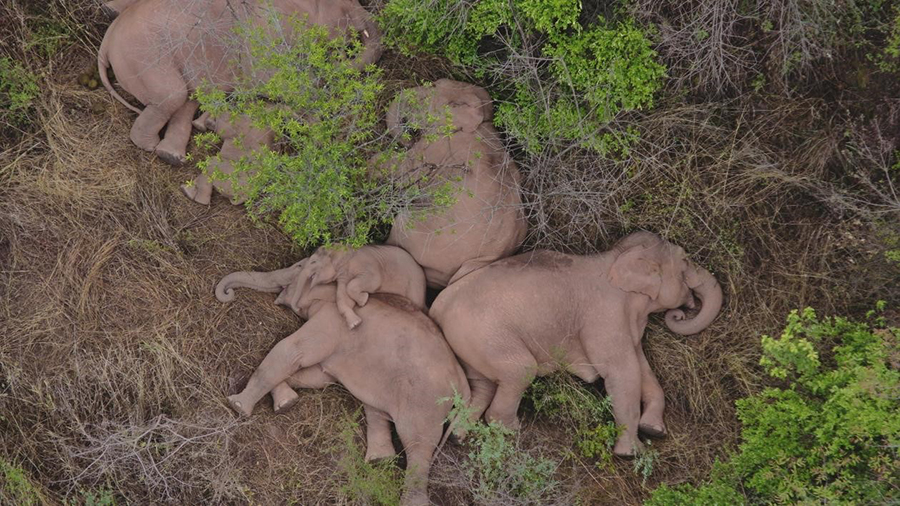 新华网云南频道