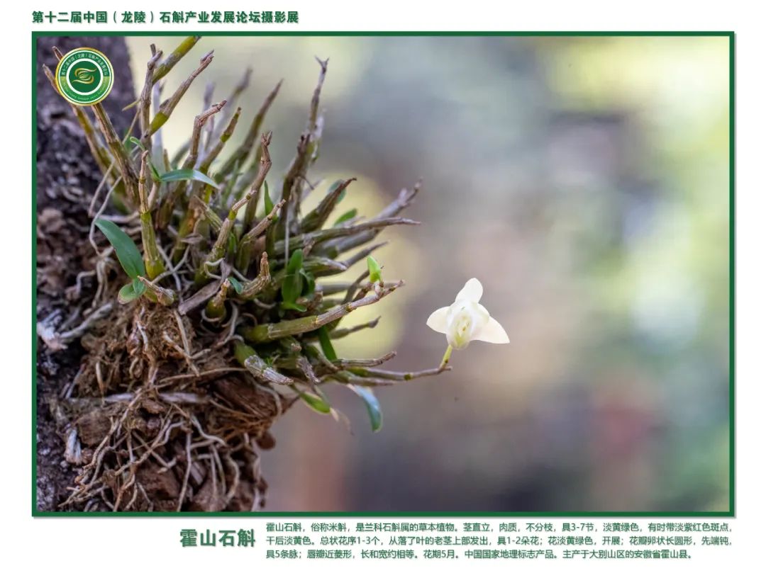 保山广播电视台