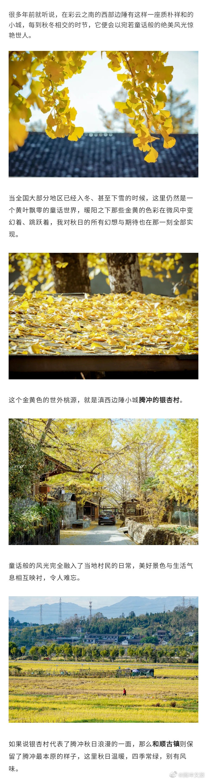 腾冲文旅微博
