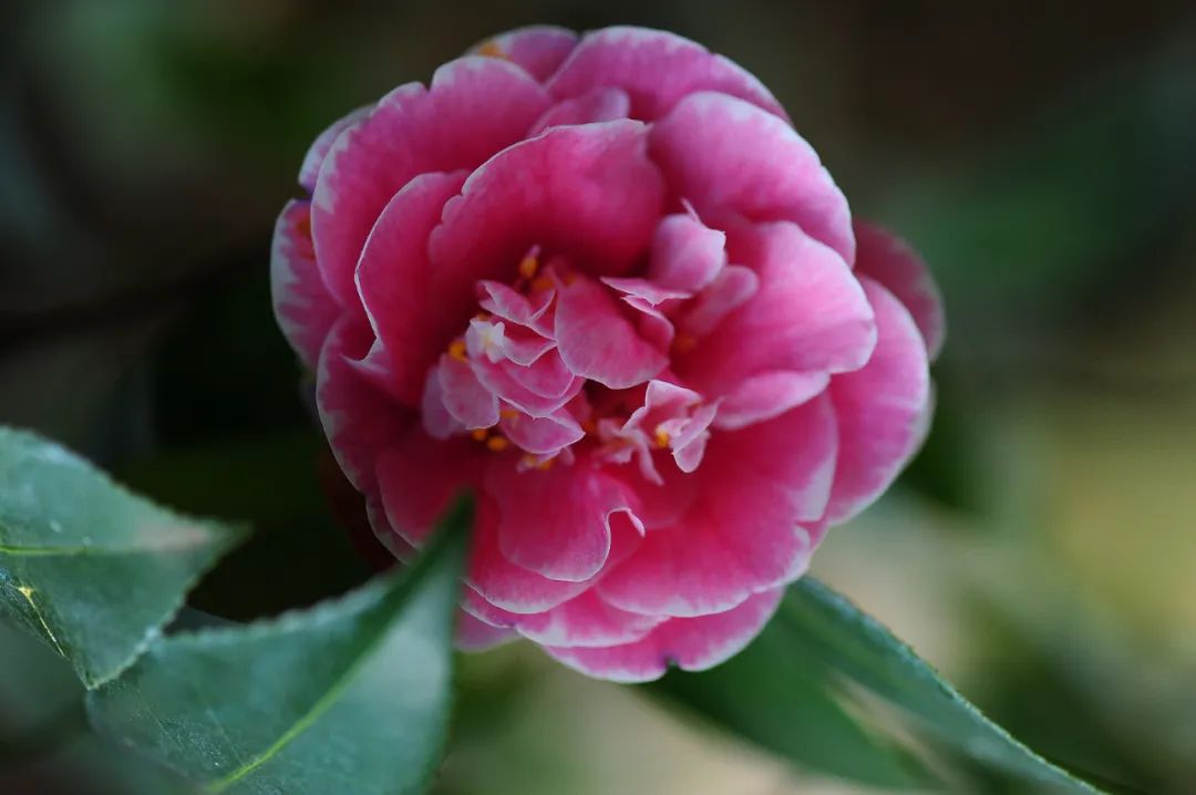 昆明市金殿名胜区