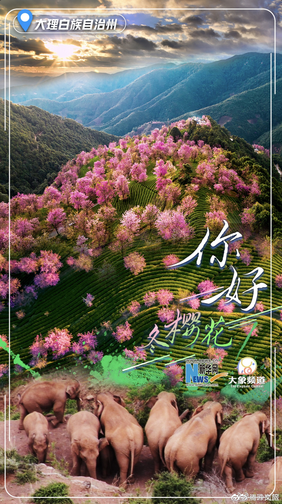 腾冲文旅微博