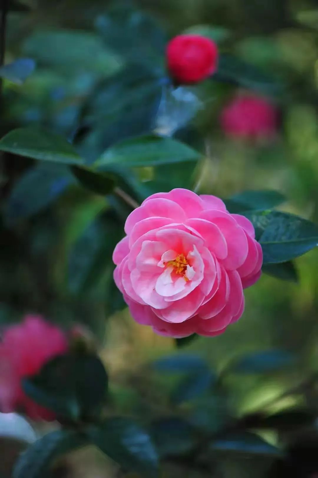 昆明市金殿名胜区