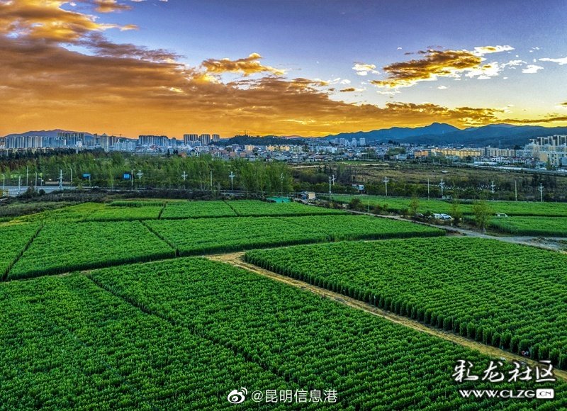 昆明信息港（微博）