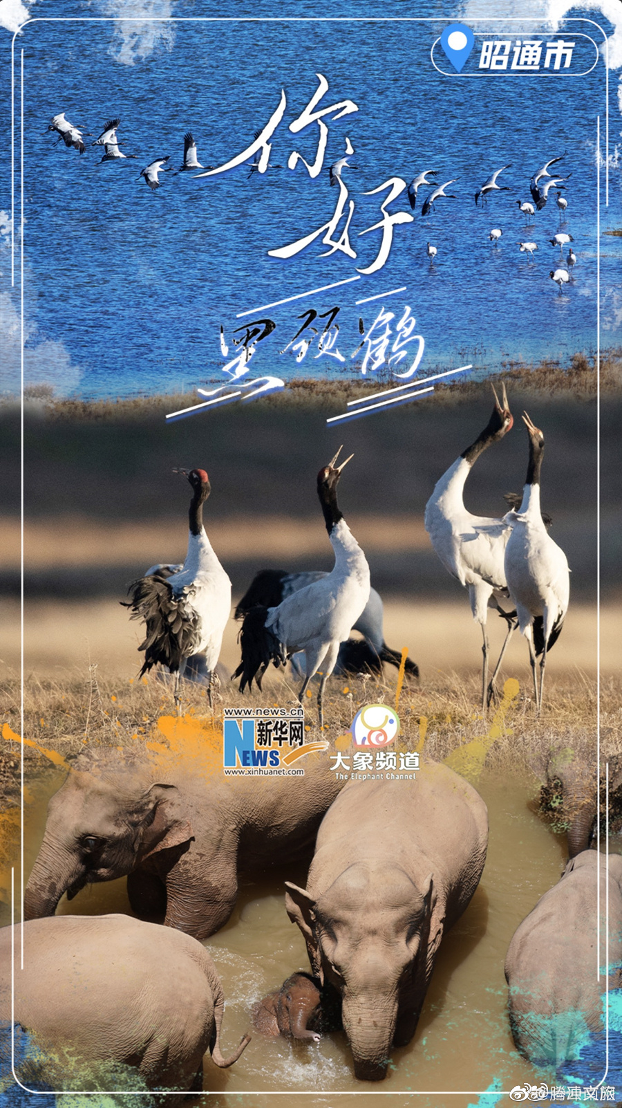 腾冲文旅微博