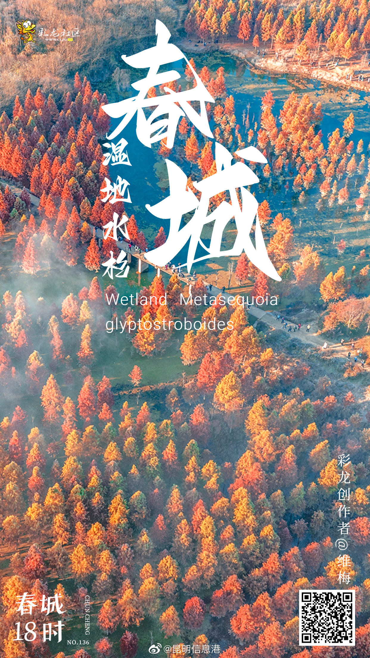 昆明信息港（微博）