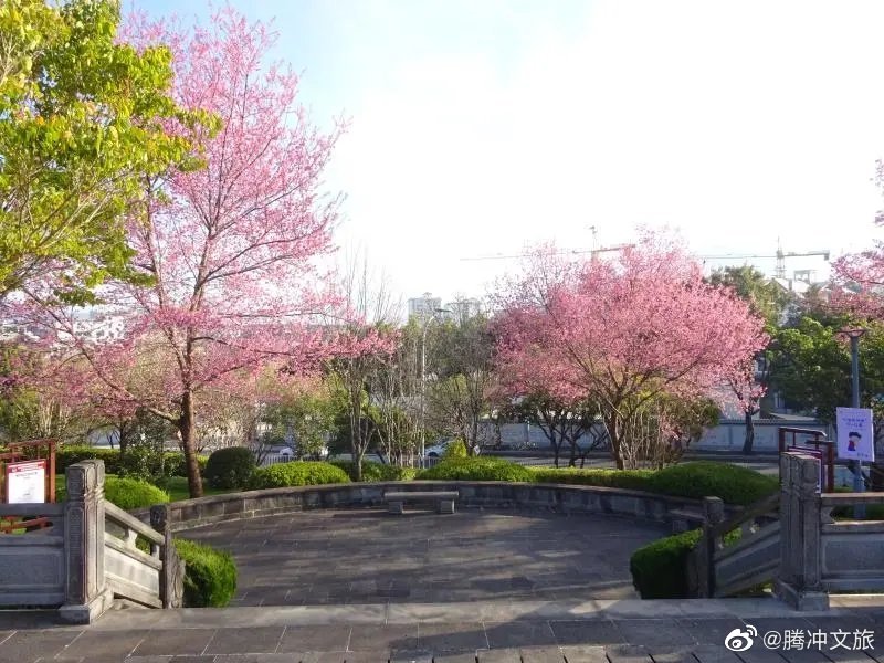 腾冲文旅微博