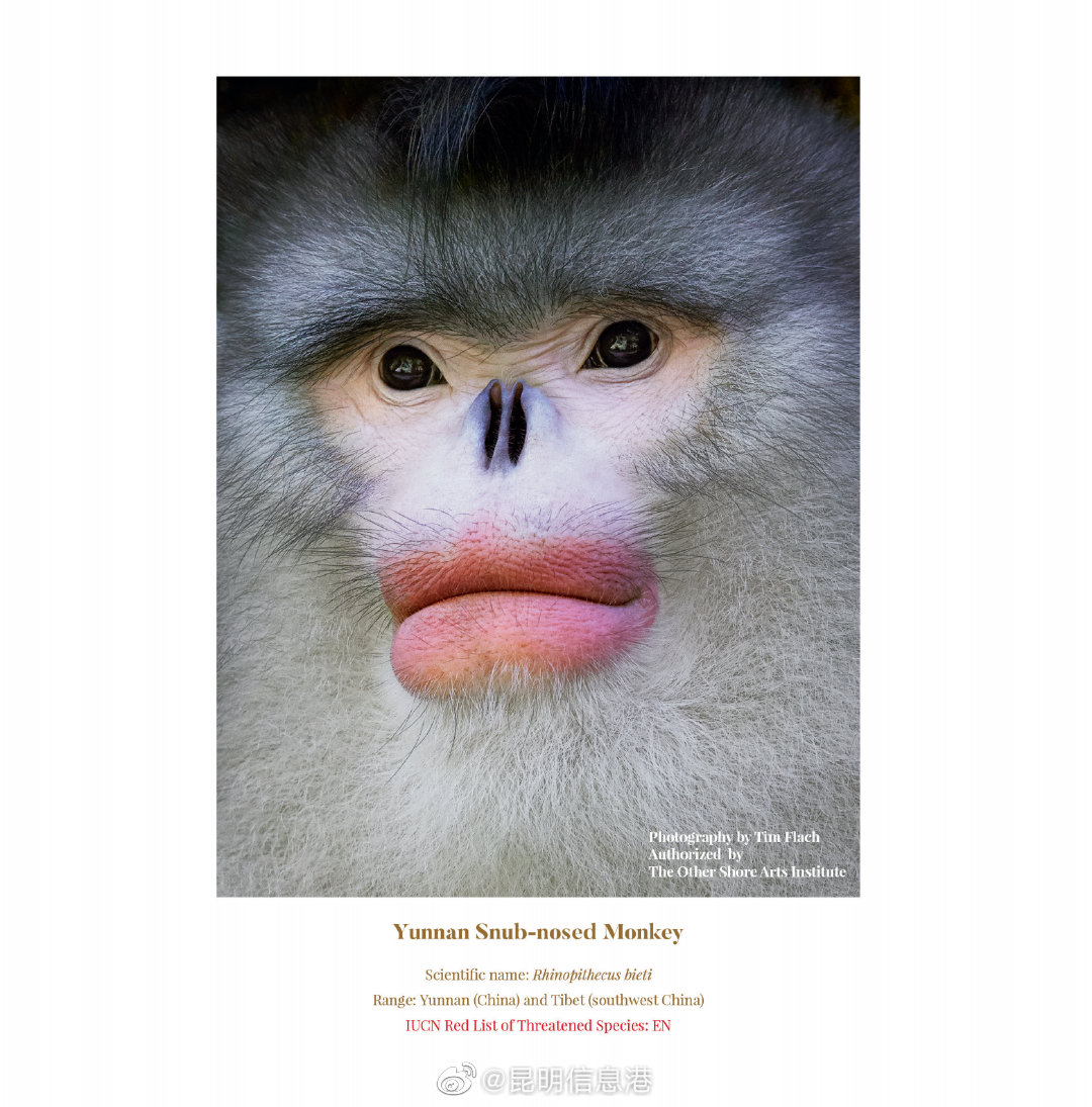 昆明信息港