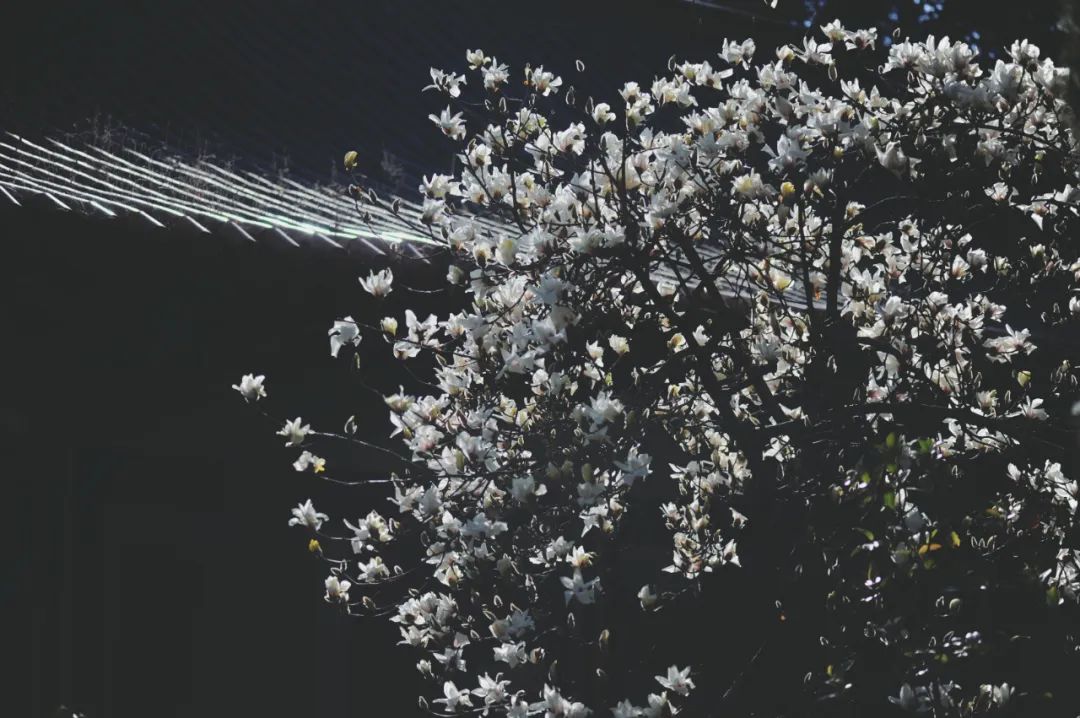 昆明市金殿名胜区