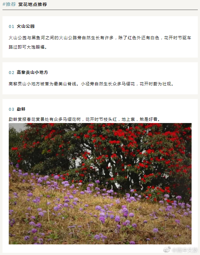 腾冲文旅微博