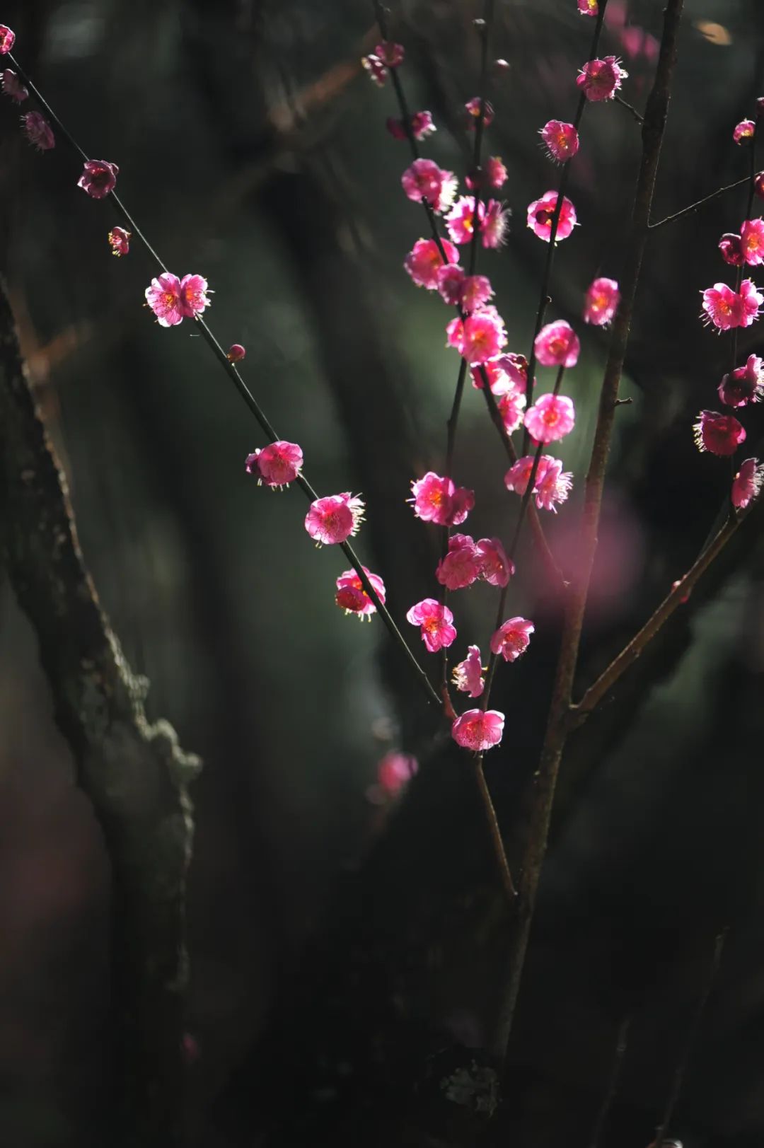 昆明市金殿名胜区