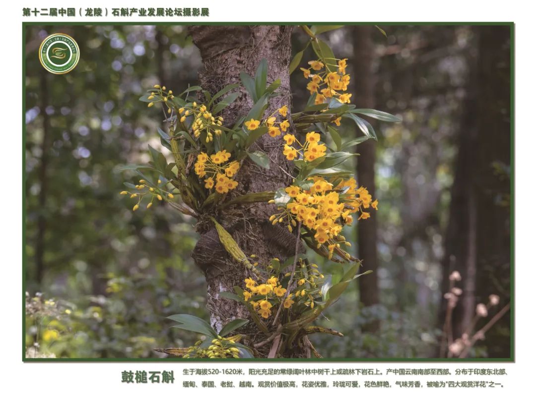 保山广播电视台