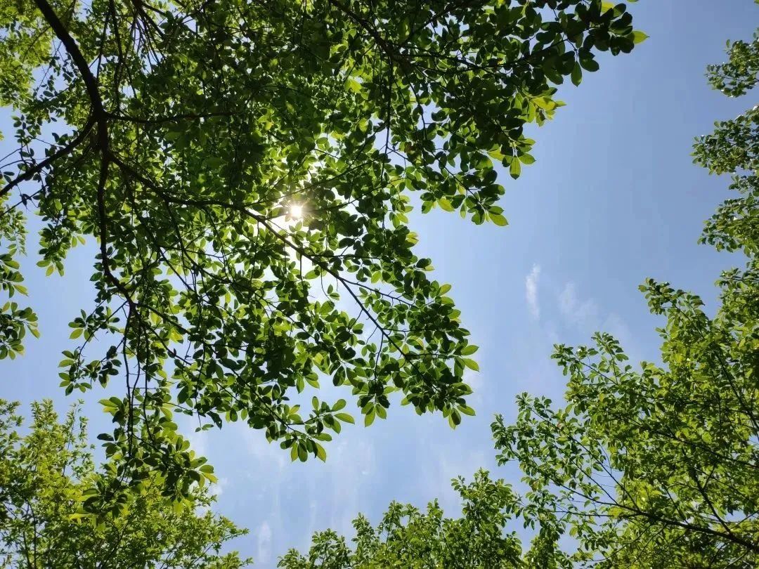 保山新闻网