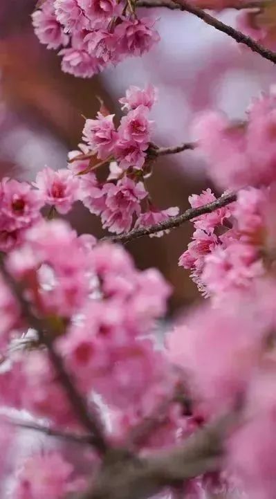 保山新闻网