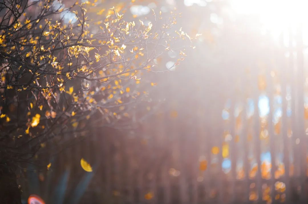 昆明市金殿名胜区