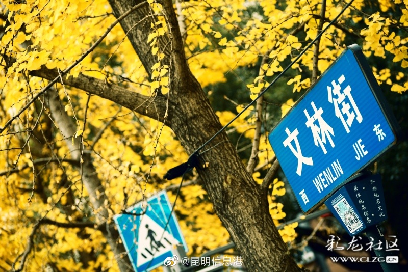 昆明信息港（微博）