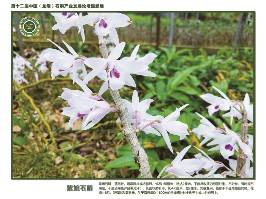 保山广播电视台