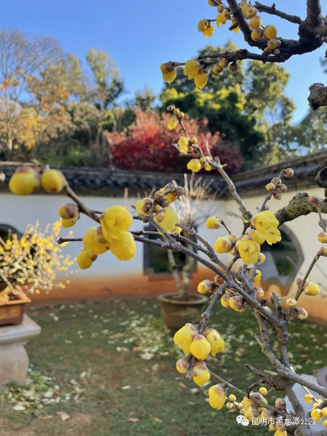 昆明市黑龙潭公园