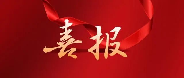微观盘龙