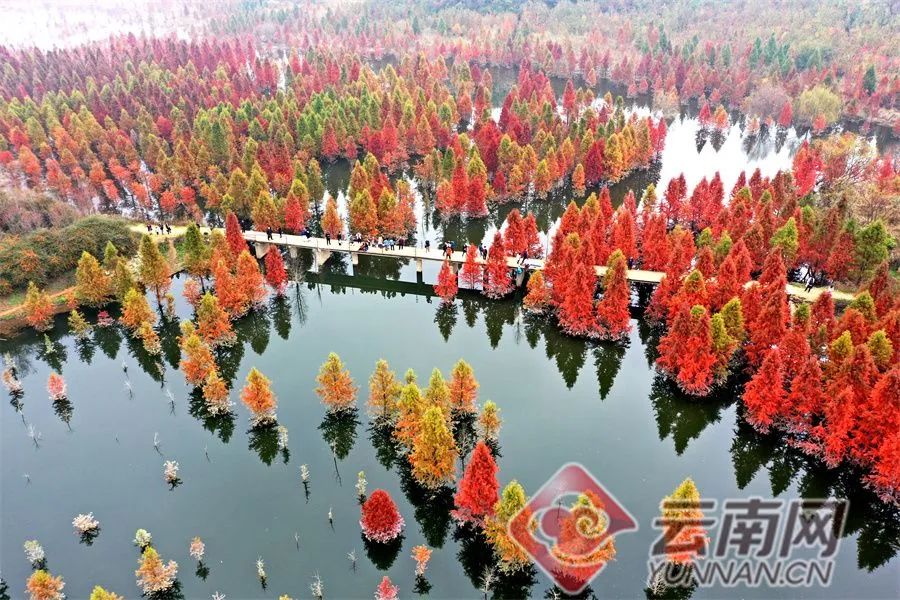 昆明文旅