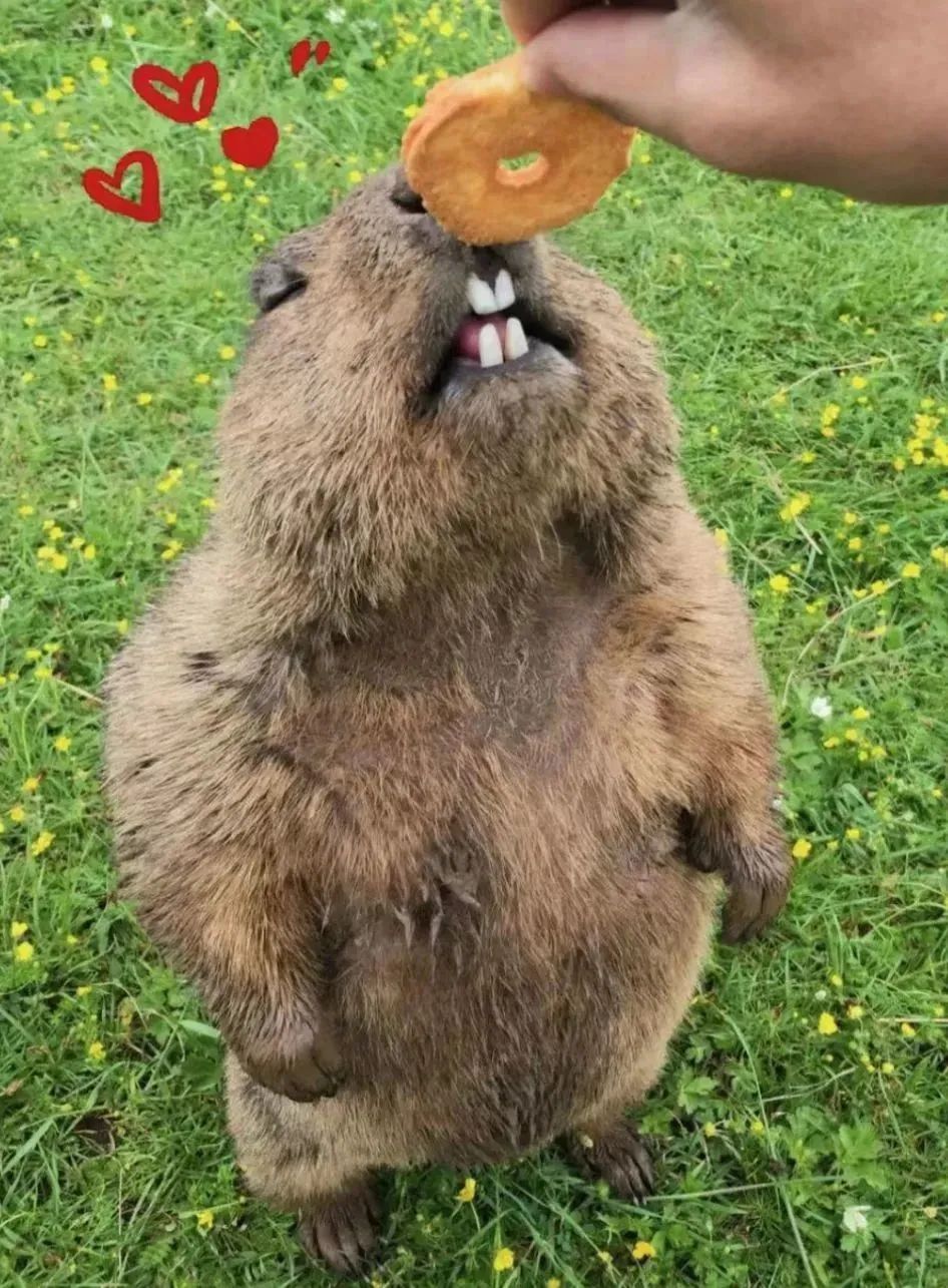 昆明阳宗海风景名胜区