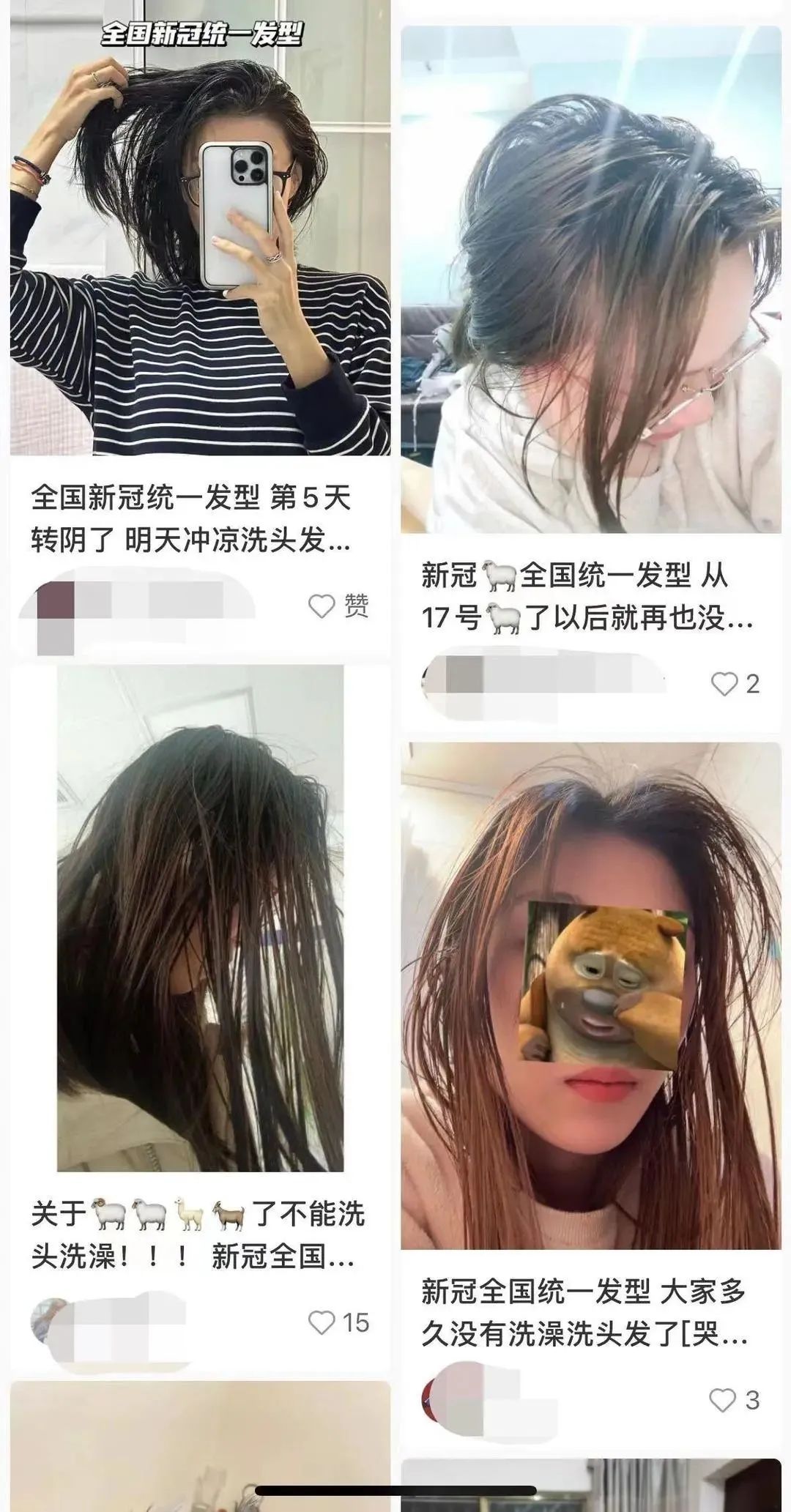 春城晚报