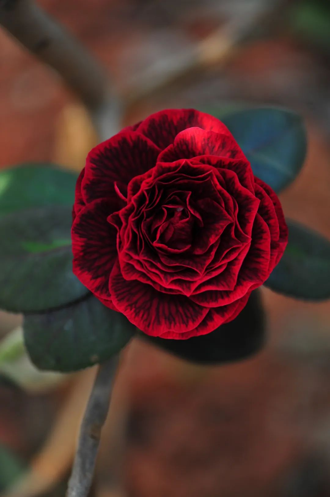 昆明市金殿名胜区