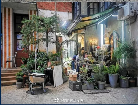 昆明五华发布