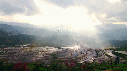 云南省文化和旅游厅