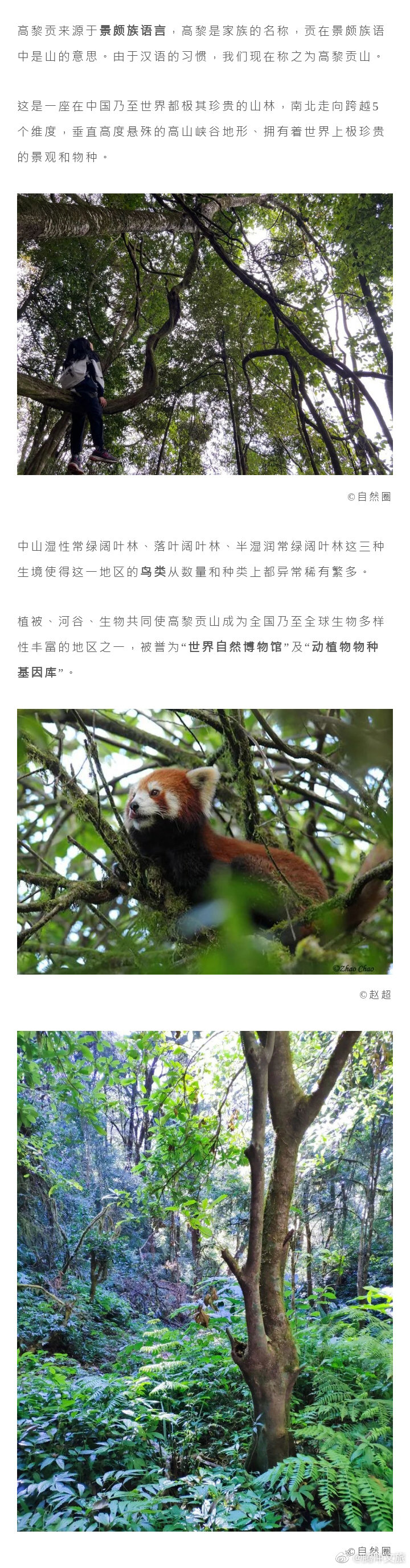 腾冲文旅微博
