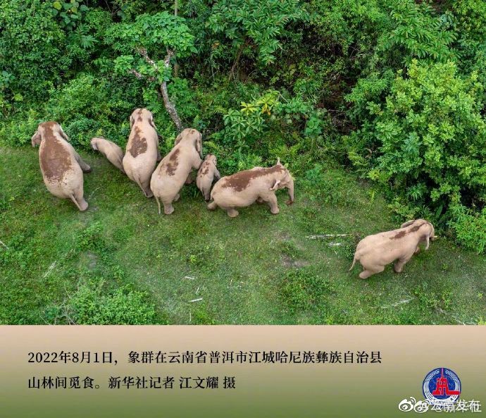 “云南发布”微博