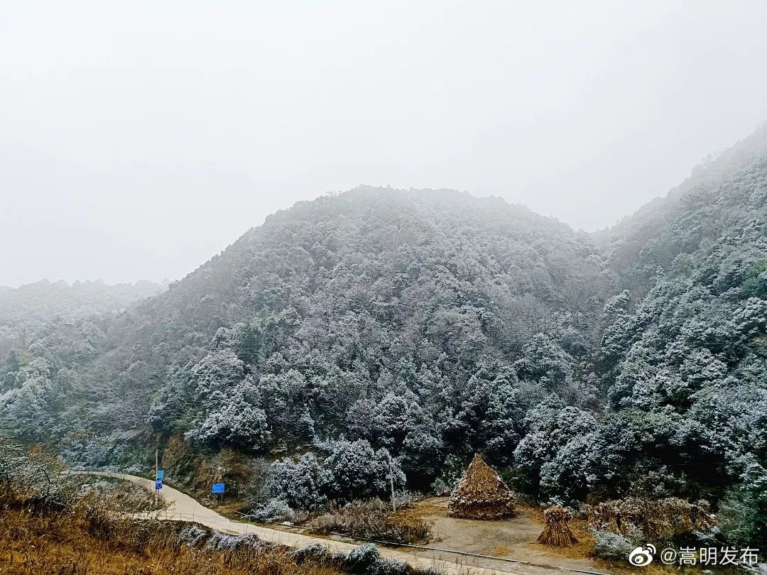 嵩明发布