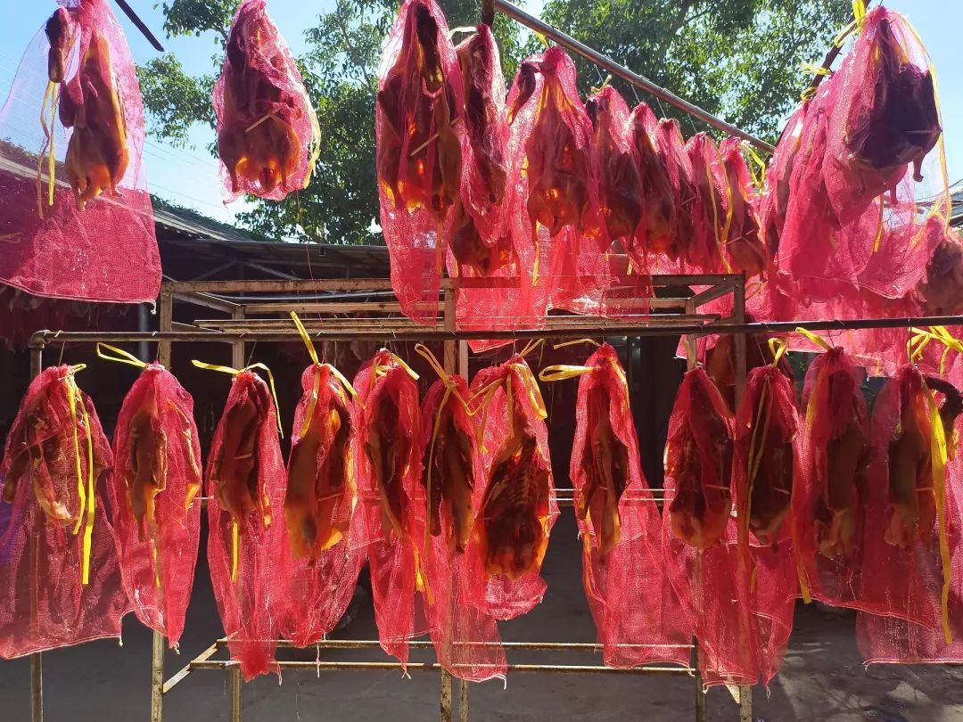普洱日报