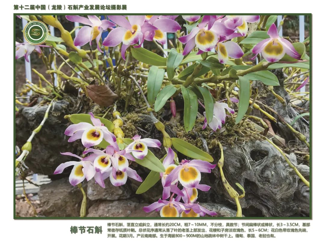 保山广播电视台