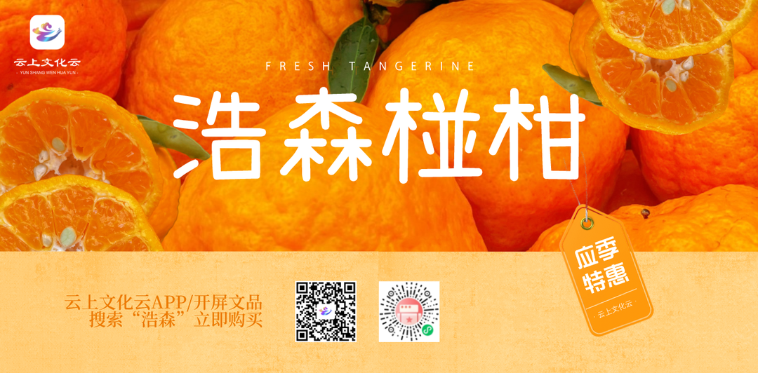 春城晚报