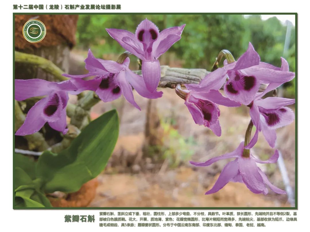 保山广播电视台