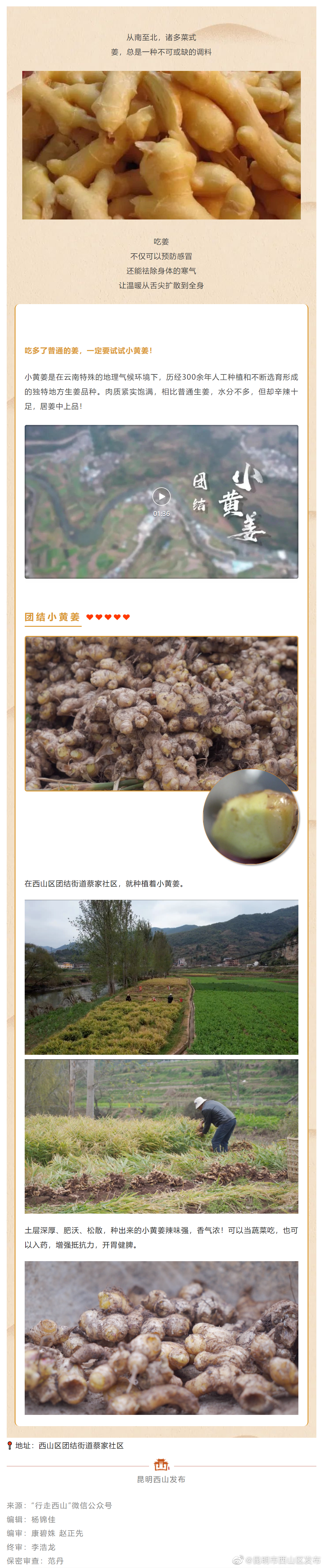 增强抵抗力！来一口小黄姜，对抗病毒不“姜”就！