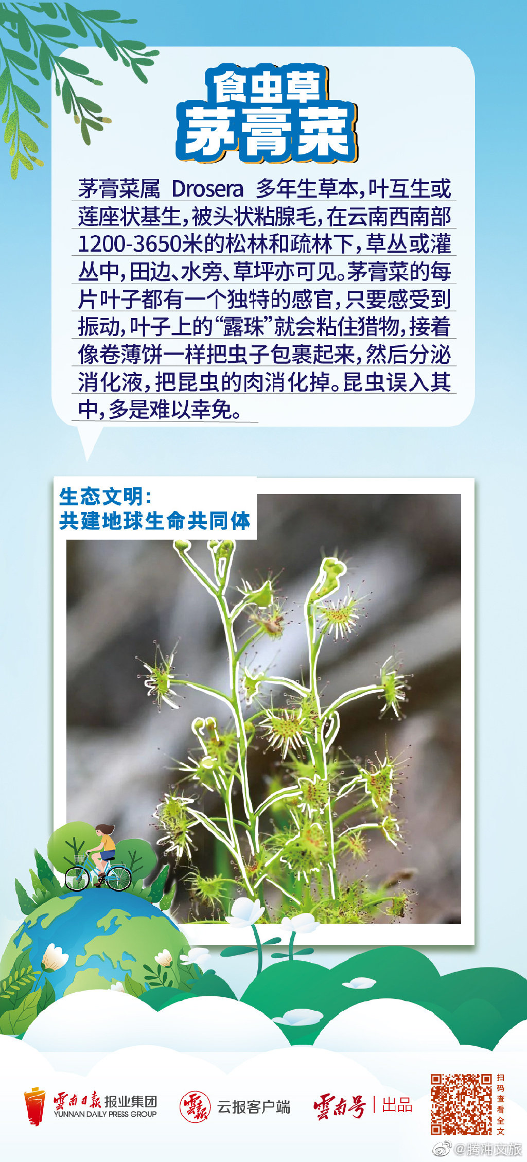 腾冲文旅微博