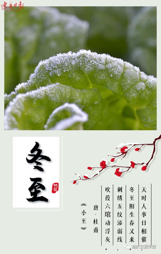 迪庆日报传媒