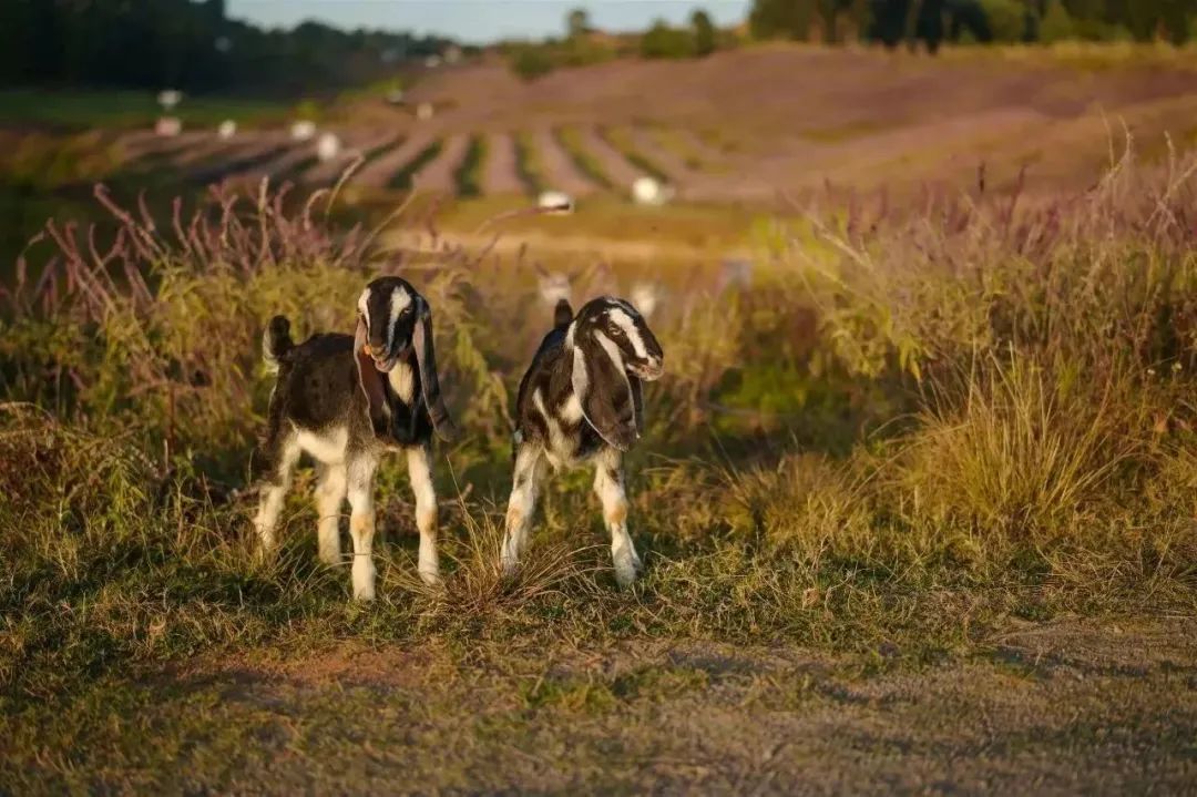 昆明阳宗海风景名胜区