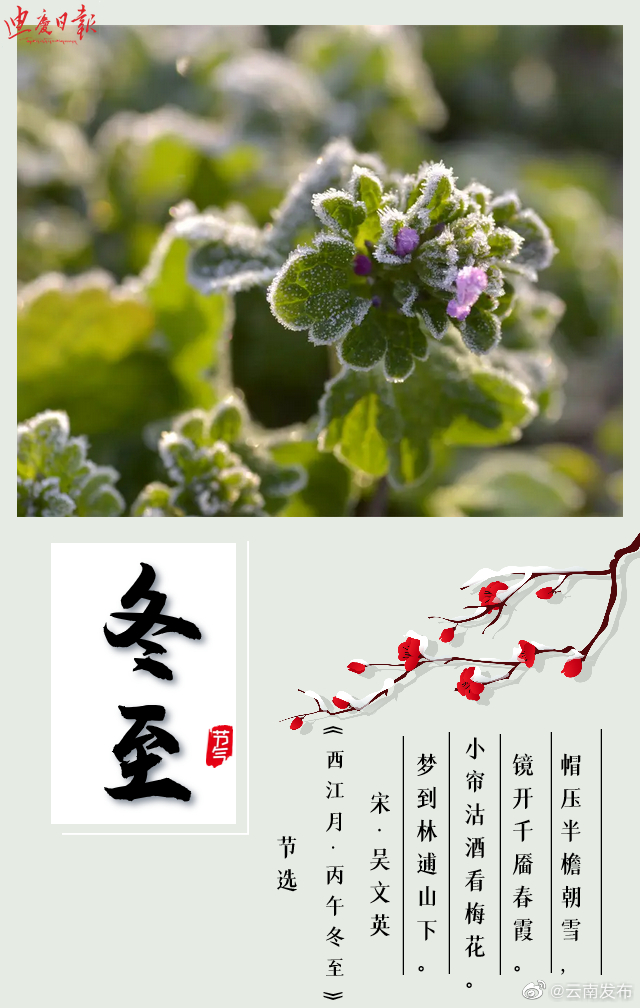 “云南发布”微博