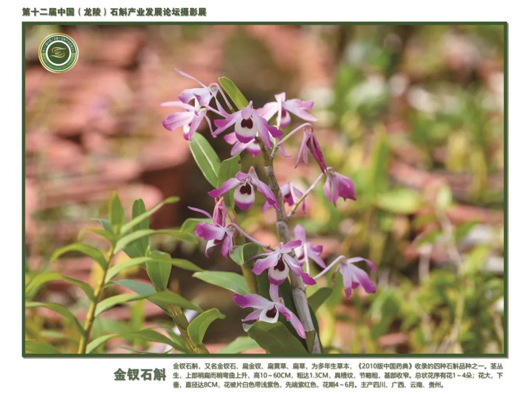 保山广播电视台