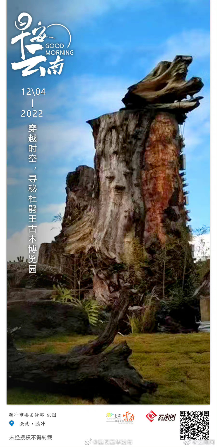 穿越时空，寻秘腾冲杜鹃王古木博览园