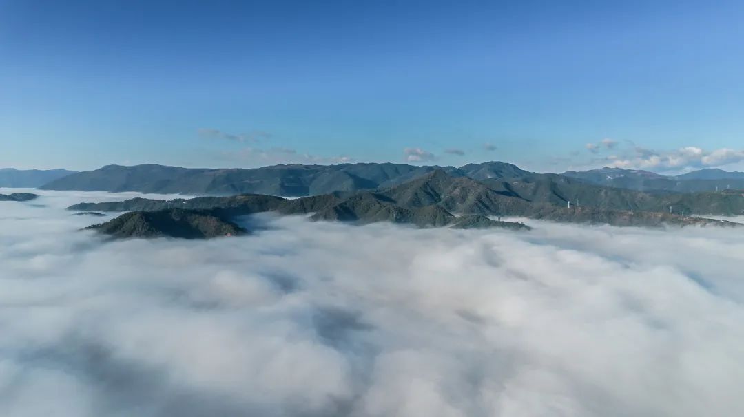 云南省文化和旅游厅
