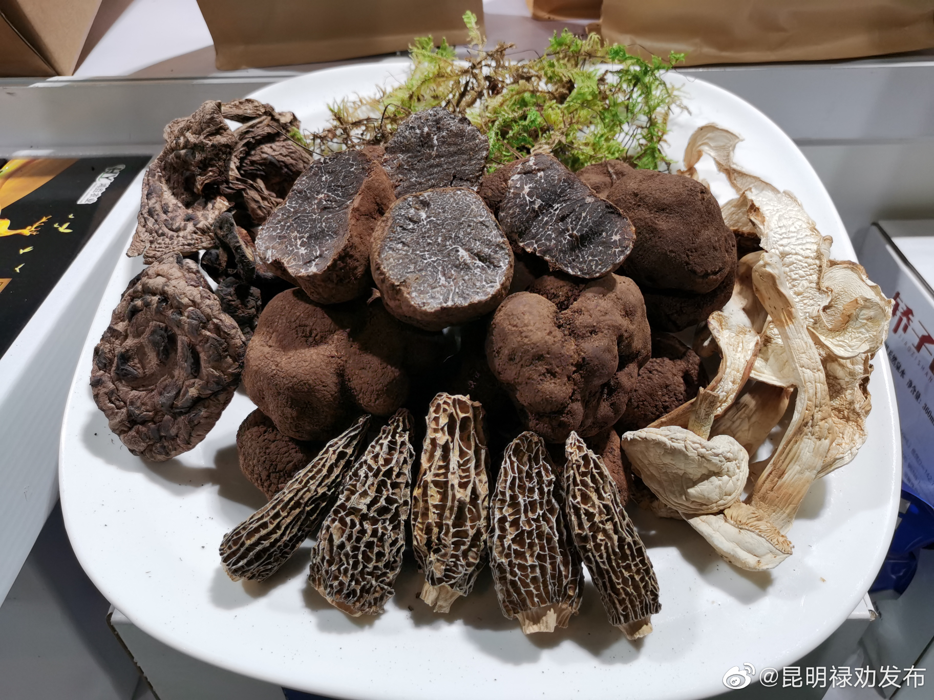 昆明禄劝发布